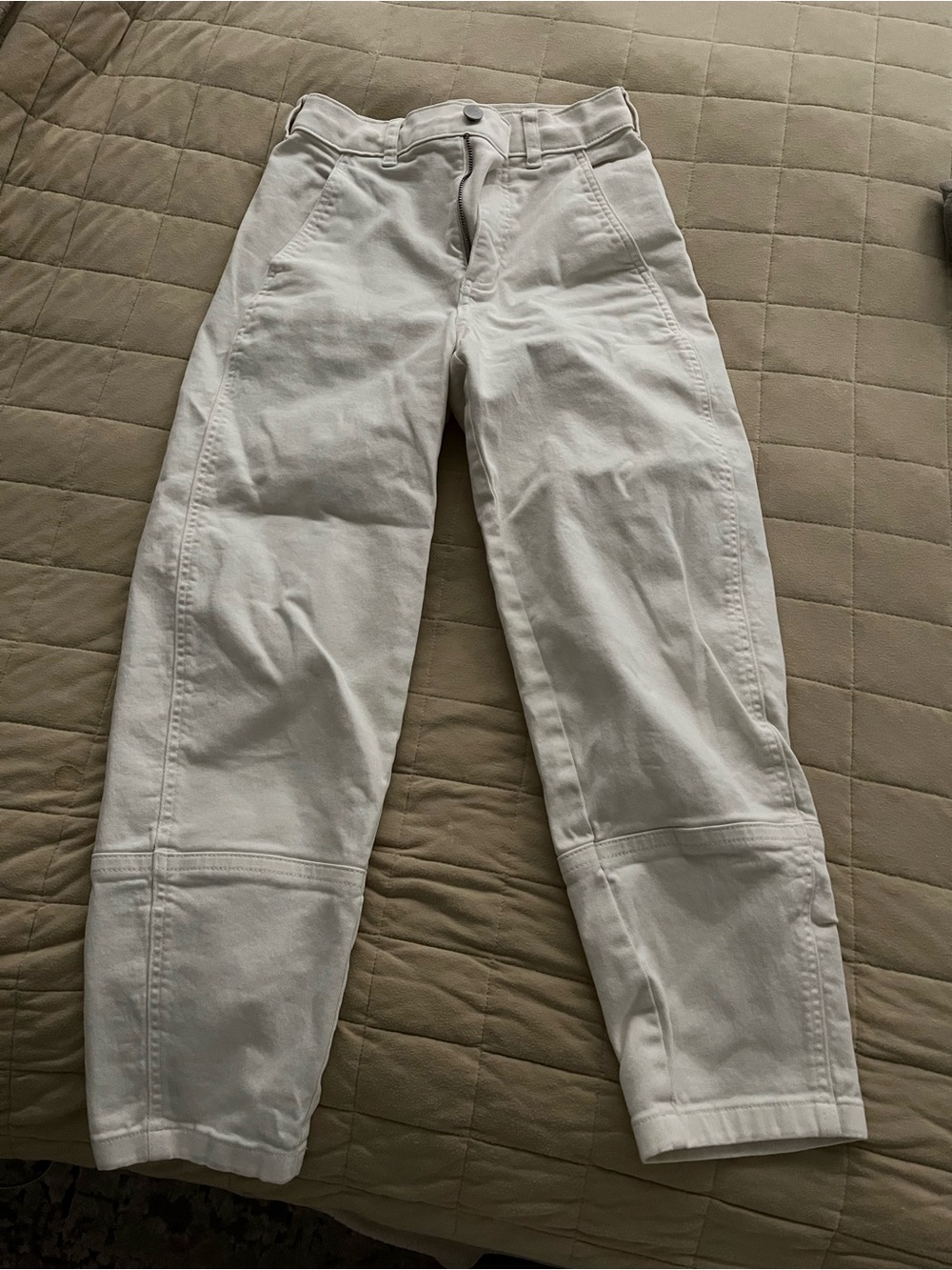 Everlane THE UTILITY BARREL PANT
